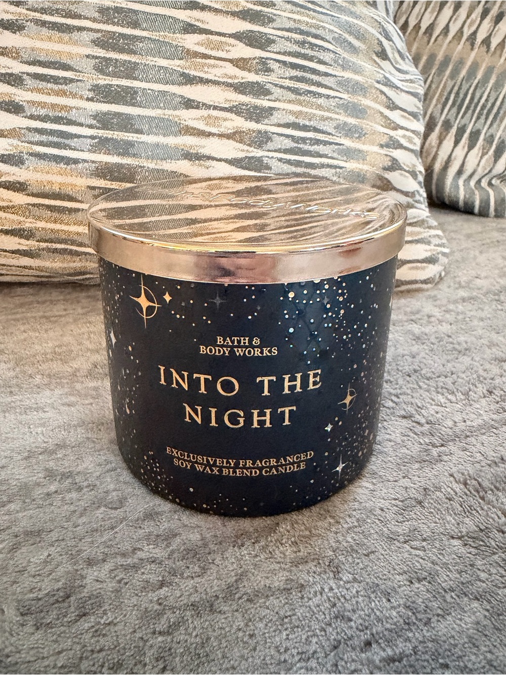 Into the Night Bath and Body Works 3 Wick Candle